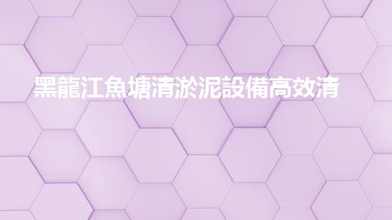 黑龍江魚塘清淤泥設備高效清淤技術助力水域生態(tài)恢復！